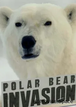Nat Geo Wild: Нашествие полярных медведей (2016)