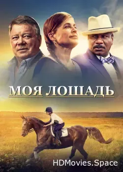 Моя лошадь (2016)