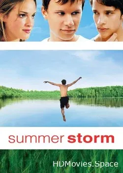 Летний шторм (2004)