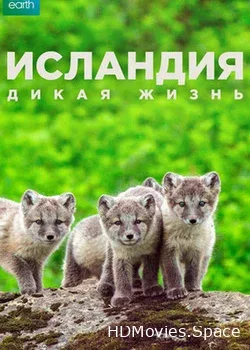 Исландия: Дикая жизнь (2015)