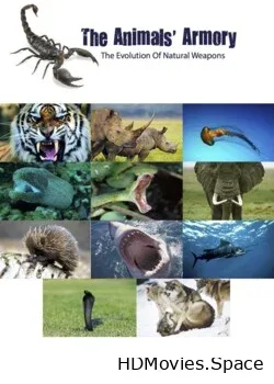 National Geographic. Арсенал животных (2016)