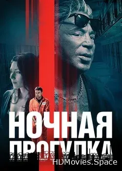 Ночная прогулка (2019)