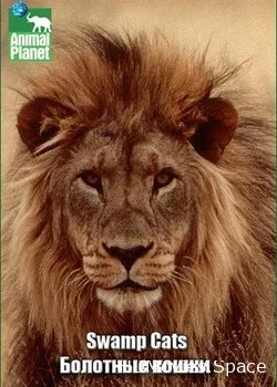 Animal Planet. Болотные кошки (2004)