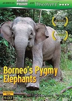 Слоны-пигмеи острова Борнео (2006)