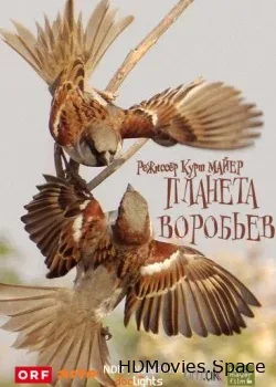 Планета воробьев (2013)