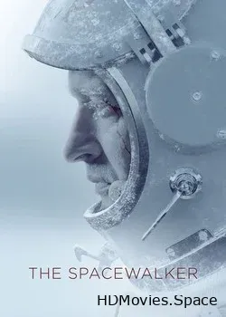 Время первых 3D (2017)