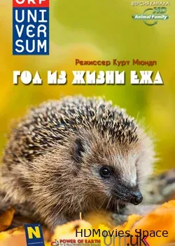 Год из жизни ежа (2009)
