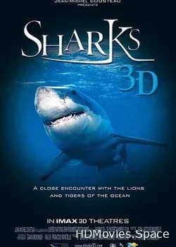 Акулы 3D (2004)