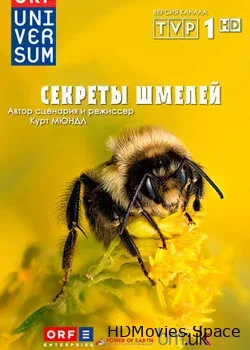 Секреты шмелей (2013)