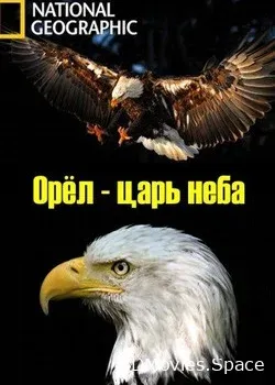 Орёл – царь неба (2014)