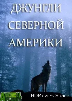 Animal Planet. Джунгли Северной Америки (2014)