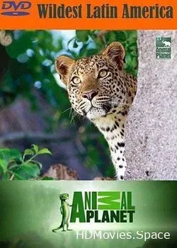 В дебрях Латинской Америки  (2012)