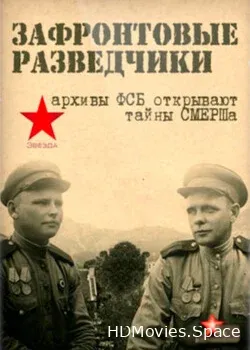 Зафронтовые разведчики (2012)