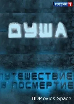 Душа - путешествие в посмертие (2013)