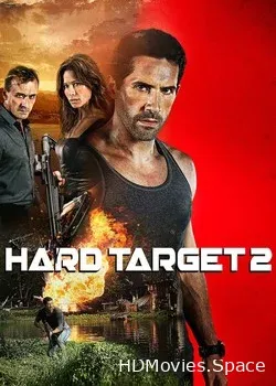 Трудная мишень 2 (2016)