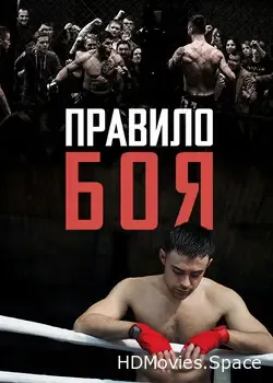 Правило боя (2017)