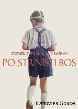 Босиком (2017)